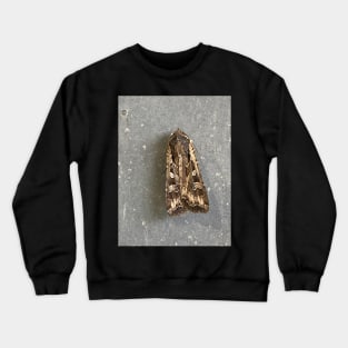 Moth Crewneck Sweatshirt